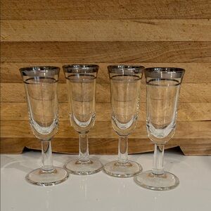 Elegant Silver Rimmed Cordial Glass Set of 4